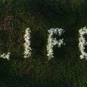 Life Direction & Personal Growth Session